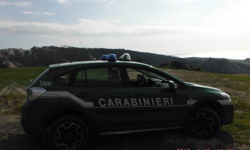 carabinieriforestali500